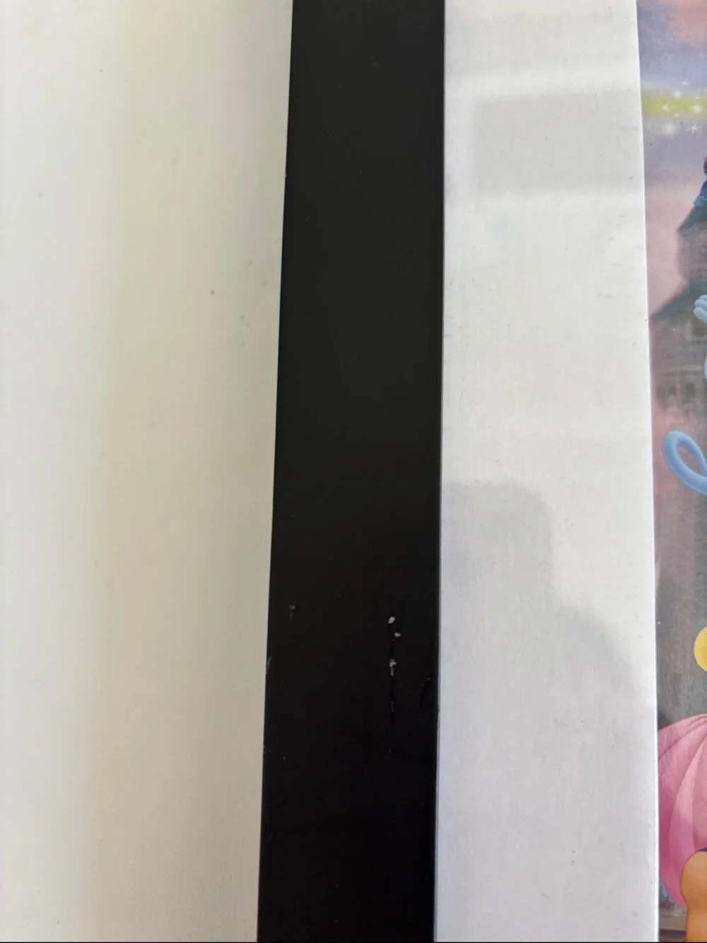 Disney Cinderella Castle‎ lithograph print that includes four collectible pins